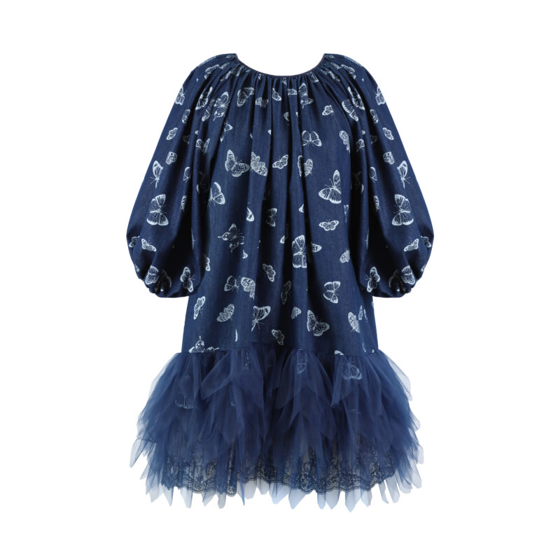 Denim Butterfly Dress